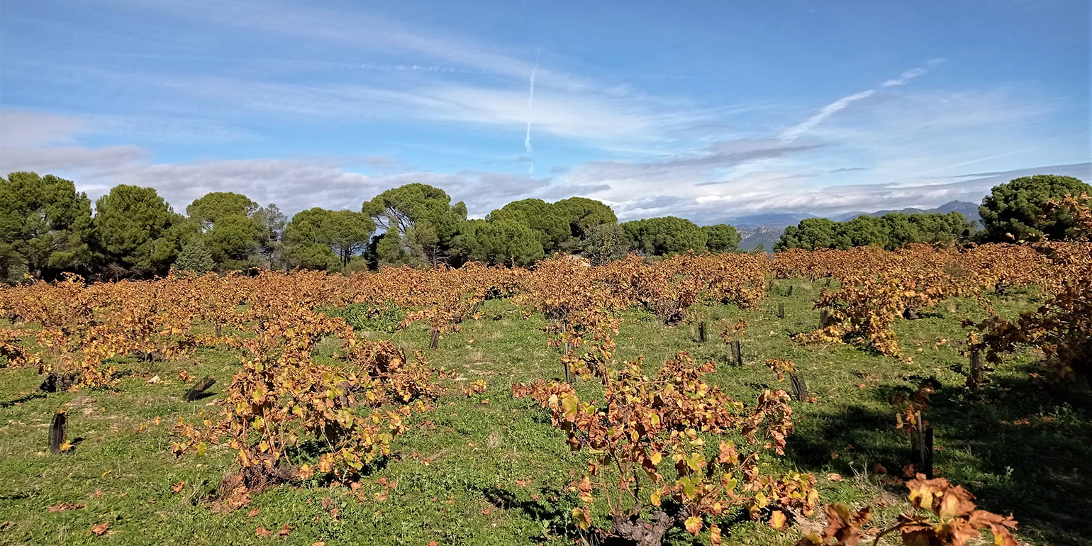 Sierra de Gredos